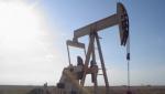Domestic Oil Well Drilling